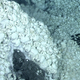 Illustration for article titled Lost World Discovered Under Antarctica